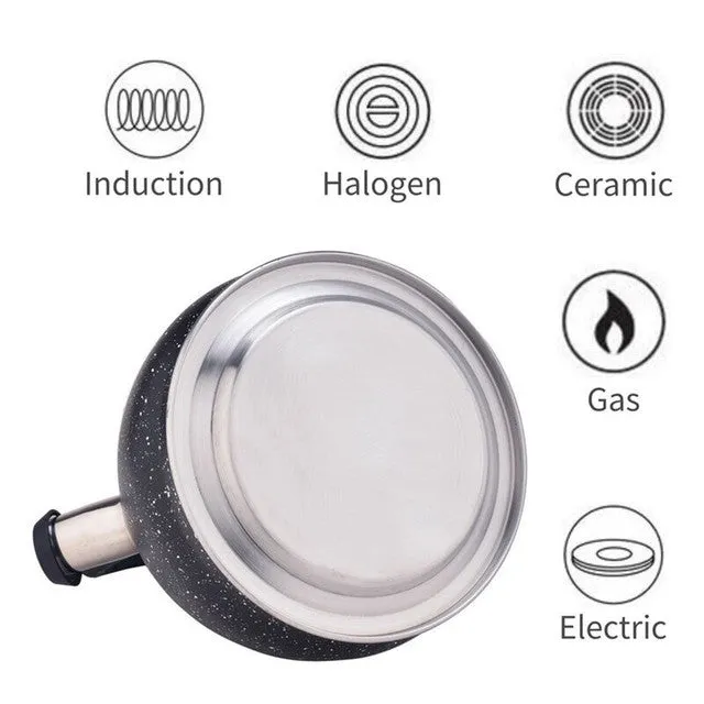 3L Stainless Steel Modern Whistling Kettle Black